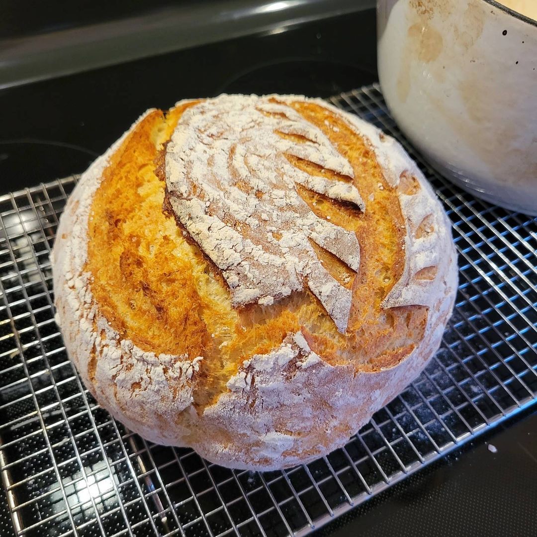 Crusty Artisan Bread