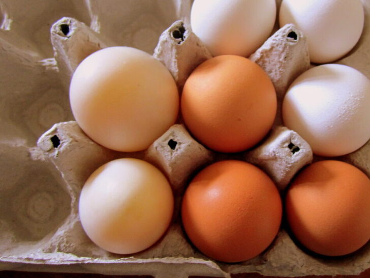 15 Ancient Foods People Still Eat Today – Foodie Haven