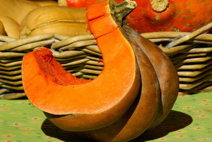Squash