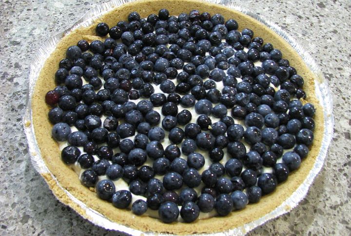 Blueberry Buttermilk Pie