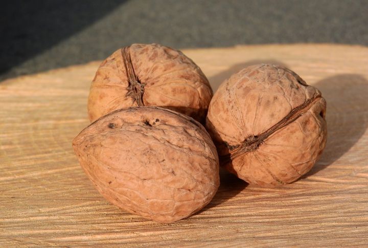 Nuts