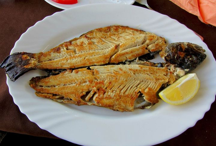 Broiled Trout
