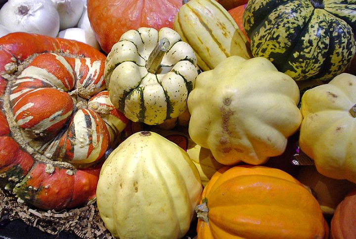 Winter Squash