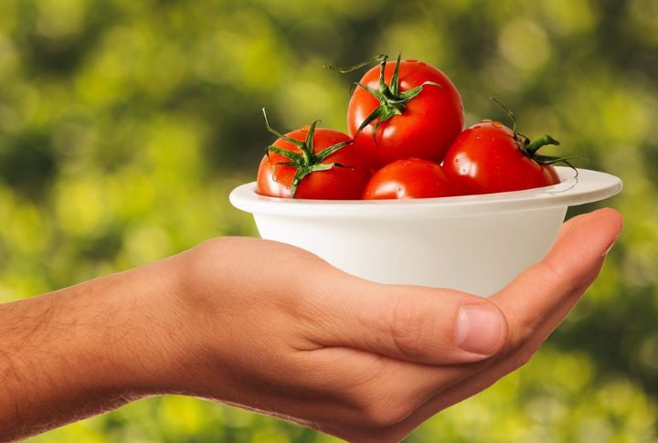 Tomatoes