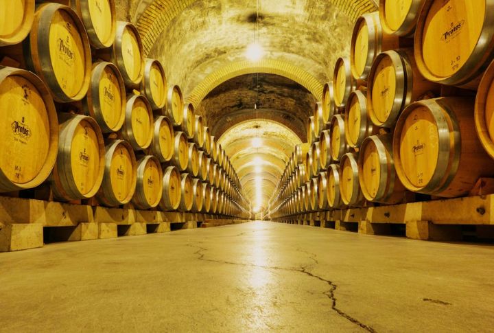 Wine Maturing Doesn’t Always Improve Quality