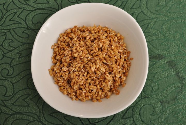 Farro