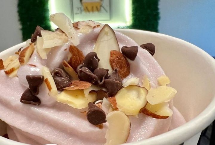 Blackberry Frozen Yogurt