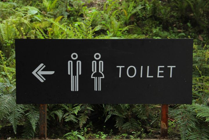 Promote Regular Bowel Movements