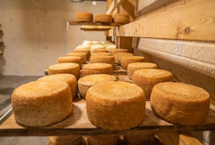 Parmesan Cheese