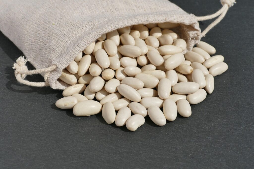 white beans, cannellini beans, bean seeds, legume, harvest, meal, nourishment, vegan, vegetarian, diet, dried, food, white beans, white beans, white beans, white beans, white beans