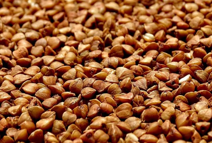 Buckwheat