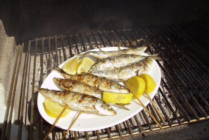 Sardines