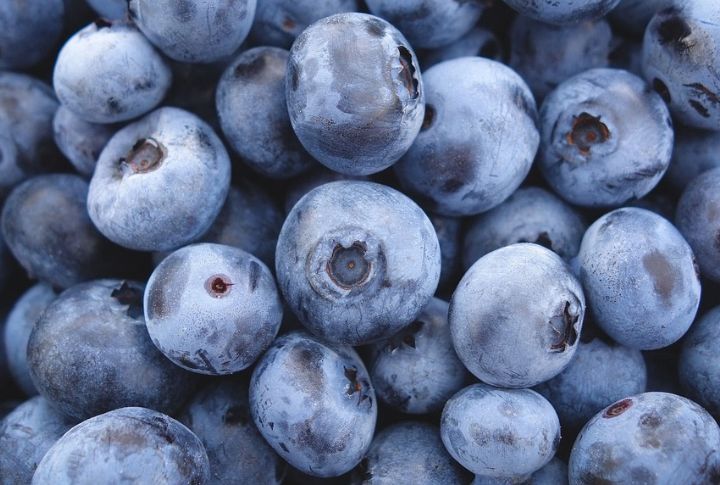 Blueberries