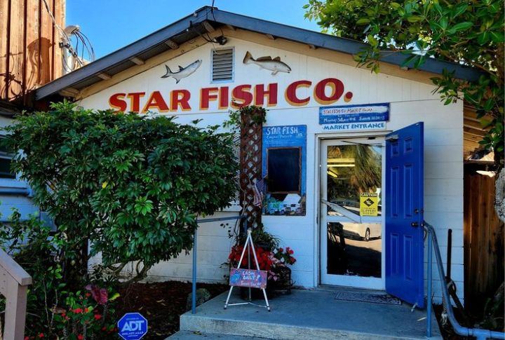 Star Fish Company: Cortez, Florida
