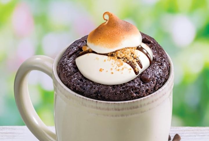 S’mores Mug Cake