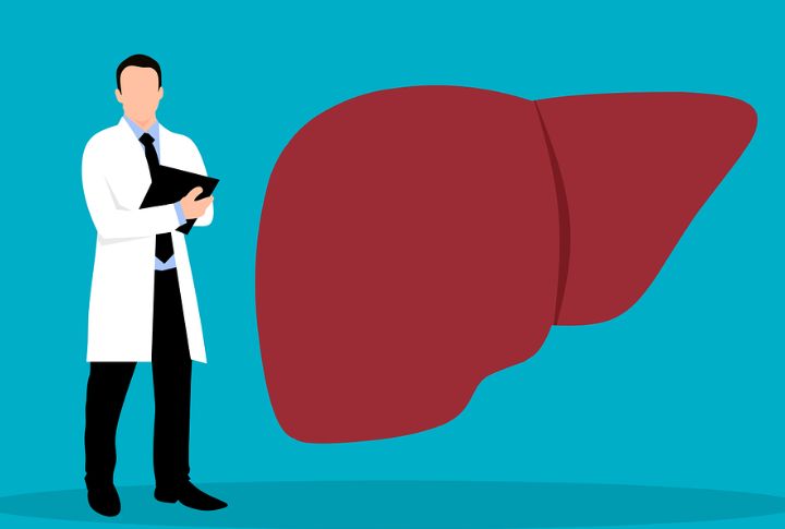 Liver Stress Increases Dramatically