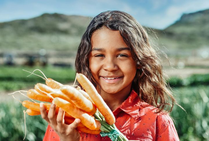 10 Homegrown Essentials That Help You Stay Independent And Secure
