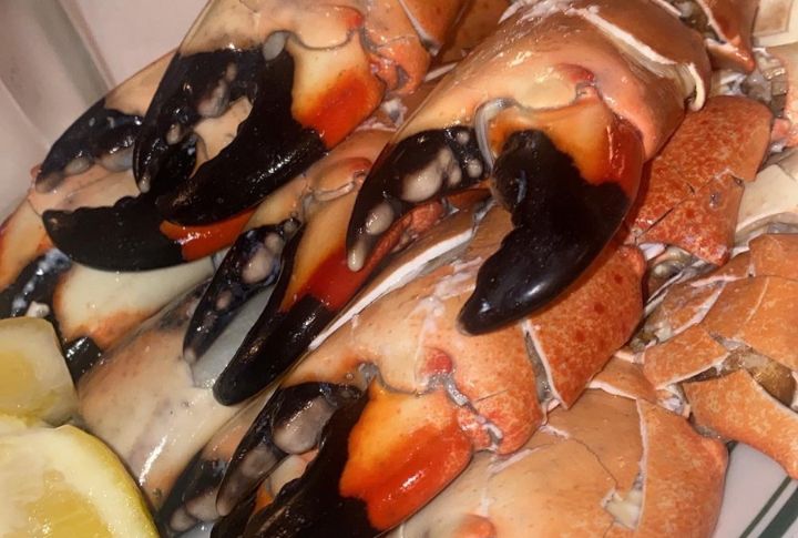 Florida: Stone Crab Claws At Joe’s, Miami Beach