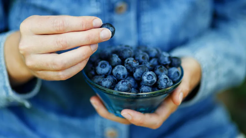 Blueberries