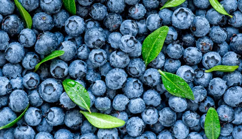 Blueberries
