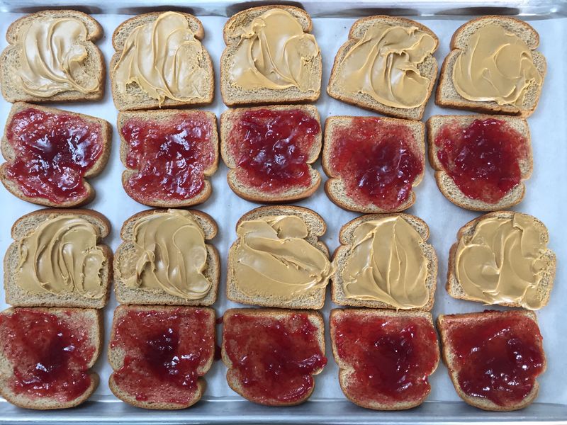 Peanut Butter and Jelly Sandwich