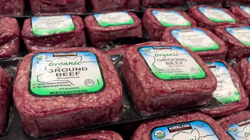 Organic Ground Beef