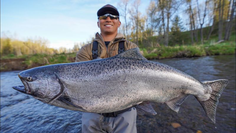 Alaska: Catch of the Day