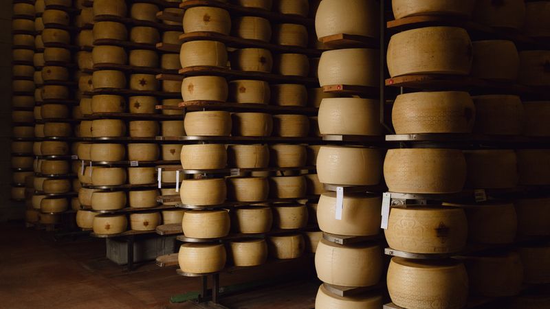 Cheese