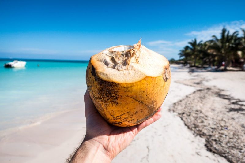 Coconuts