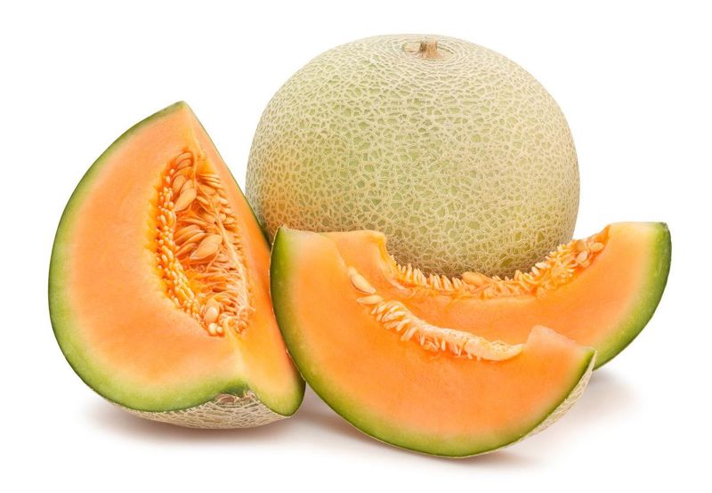 Cantaloupe