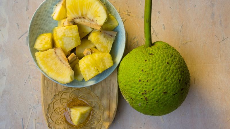 Breadfruit
