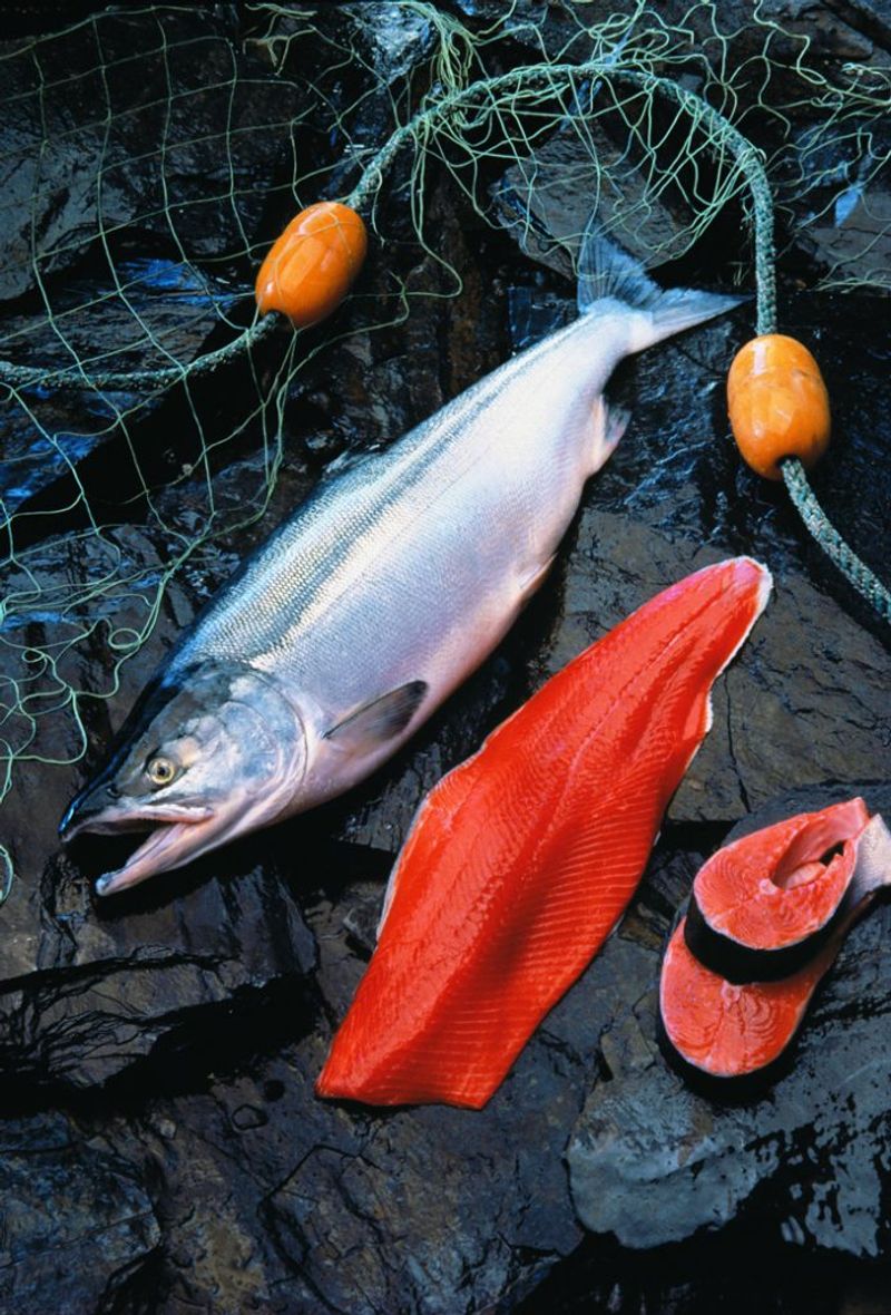 Fatty Fish