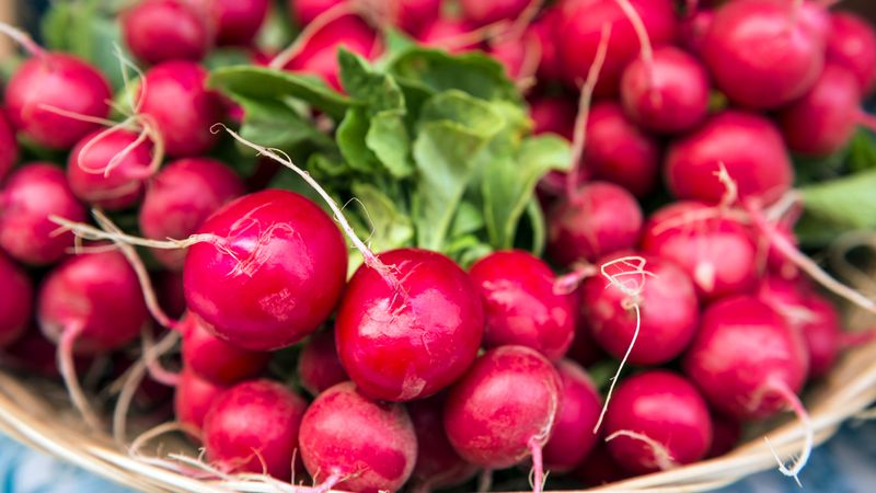 Radishes