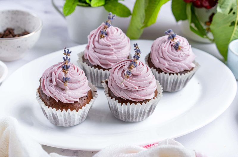 Chocolate Lavender Dream