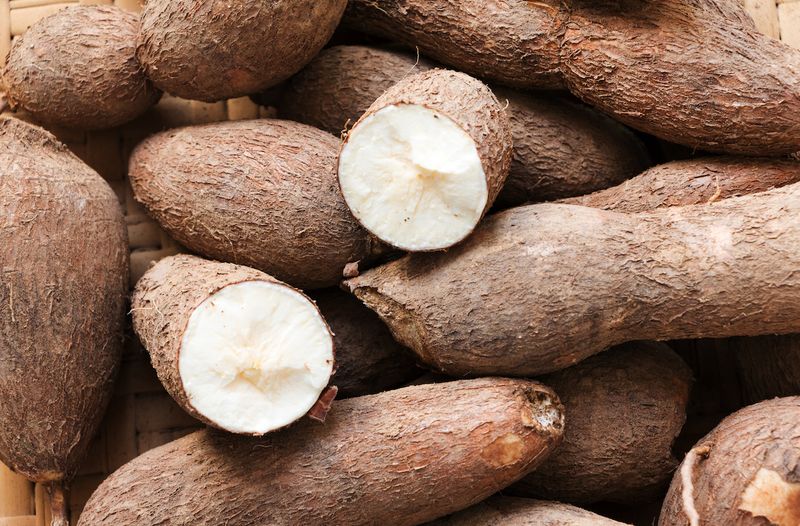 Cassava
