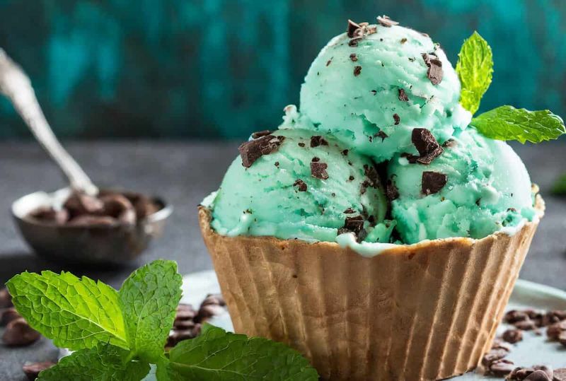 Mint Chocolate Chip Delight