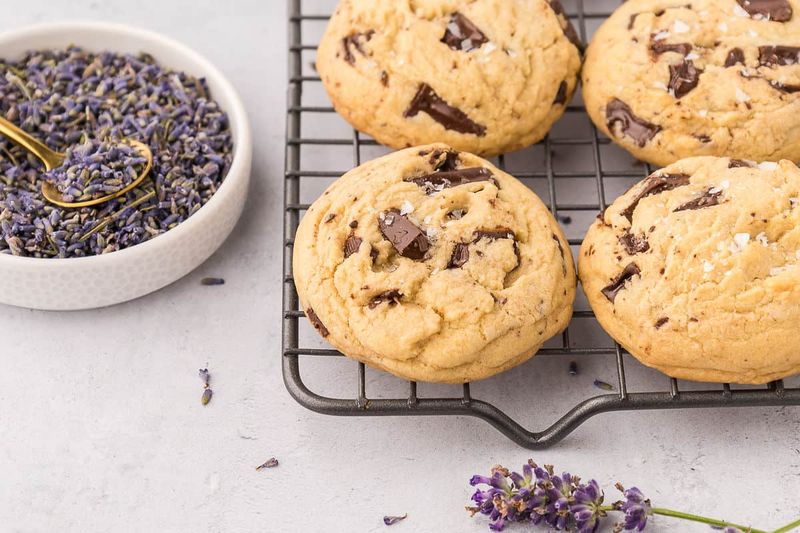 Lavender Chocolate Tranquility