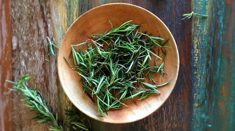 Rosemary