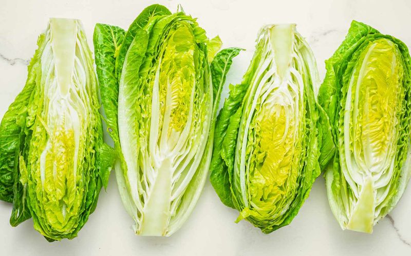 Lettuce