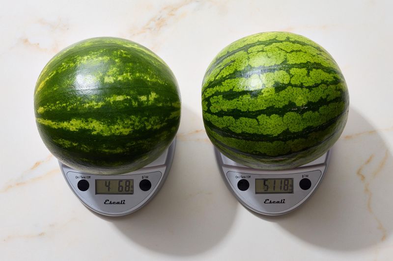 Feel the Weight