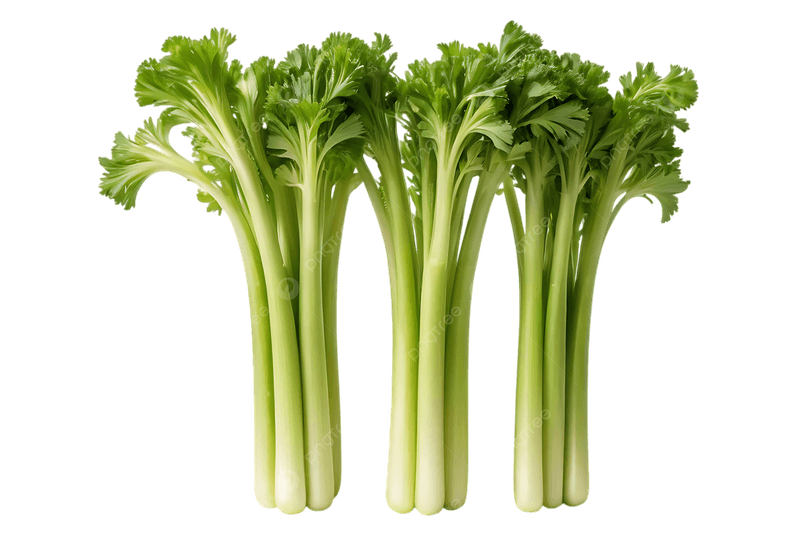 Celery