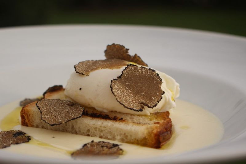 Silky Truffle Poached Eggs