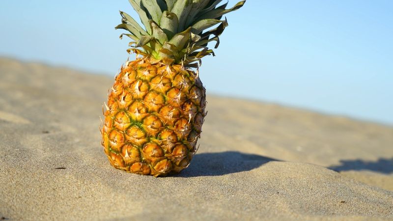 Pineapples