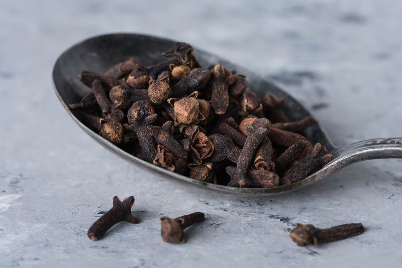 Clove