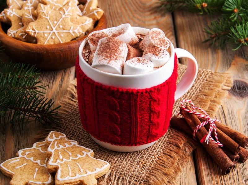 Gingerbread Cocoa Delight