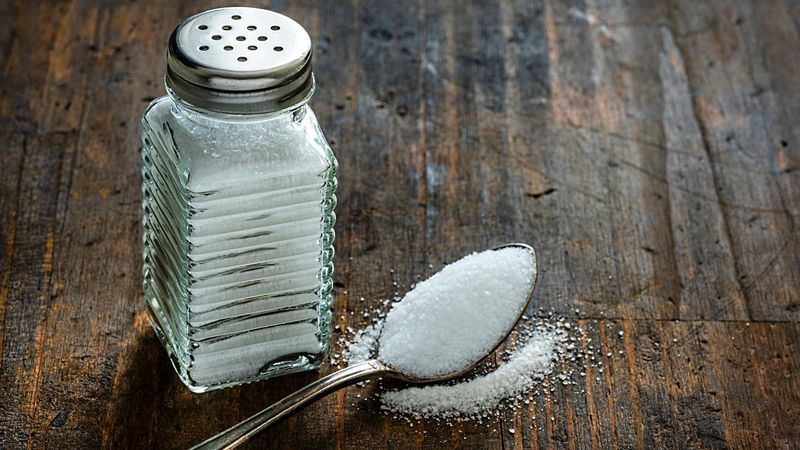 Salt Shaker