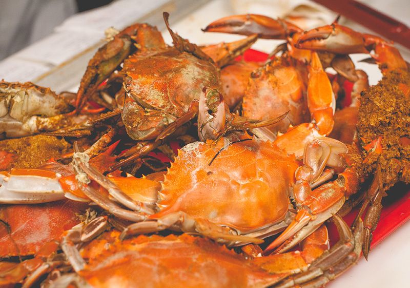 Delaware - Rehoboth Beach's Crab Feast