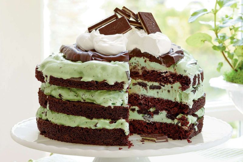 Mint Chocolate Chip Ice Cream Cake