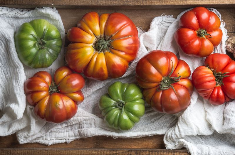 Tomatoes