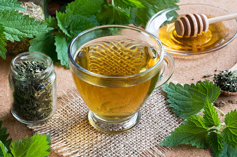 Nettle Tea